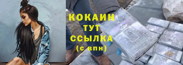 дживик Алагир
