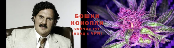 гидра Анива