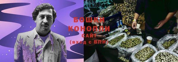 дживик Алагир