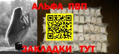 сатива Кингисепп