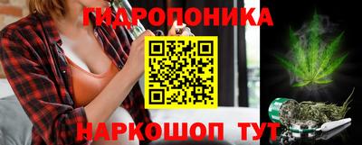 сатива Кингисепп
