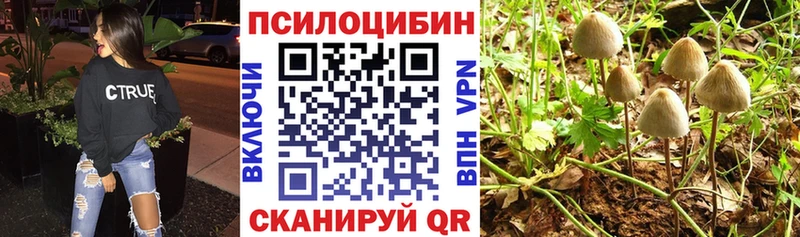 ОМГ ОМГ как войти  Арсеньев  Галлюциногенные грибы ЛСД  где можно купить  