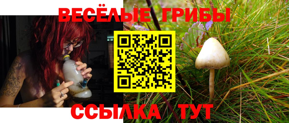 как найти наркотики  Галлюциногенные грибы GOLDEN TEACHER  Вход с VPN  Арсеньев 